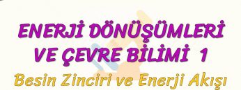 ENERJİ DÖNÜŞÜMLERİ VE ÇEVRE BİLİMİ – 1 / BESİN ZİNCİRİ VE ENERJİ AKIŞI