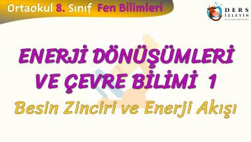 ENERJİ DÖNÜŞÜMLERİ VE ÇEVRE BİLİMİ – 1 / BESİN ZİNCİRİ VE ENERJİ AKIŞI