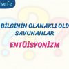 ENTÜİSYONİZM / DOĞRU BİLGİNİN OLANAKLI OLDUĞUNU SAVUNANLAR