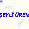 EŞEYLİ ÜREME