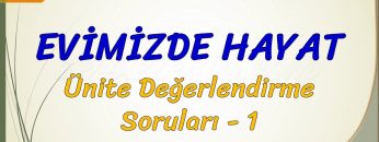 EVİMİZDE HAYAT / ÜNİTE DEĞERLENDİRME SORULARI – 1