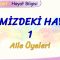 EVİMİZDEKİ HAYAT – 1 / AİLE ÜYELERİ