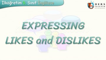 EXPRESSING LIKES AND DISLIKES