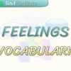FEELINGS / VOCABULARY
