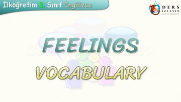 FEELINGS / VOCABULARY