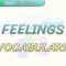 FEELINGS / VOCABULARY