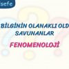 FENOMENOLOJİ / DOĞRU BİLGİNİN OLANAKLI OLDUĞUNU SAVUNANLAR