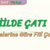 FİİLDE ÇATI – 3 / NESNELERİNE GÖRE FİİL ÇATILARI
