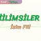 FİİLİMSİLER – 1 /  İSİM FİİL