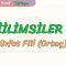 FİİLİMSİLER – 2 / SIFAT FİİL