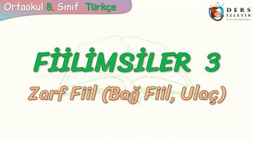 FİİLİMSİLER – 3 / ZARF FİİL