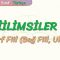 FİİLİMSİLER – 3 / ZARF FİİL