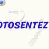 FOTOSENTEZ – 1