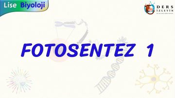 FOTOSENTEZ – 1