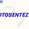 FOTOSENTEZ – 1