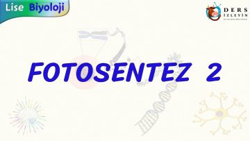 FOTOSENTEZ – 2