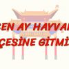 GEÇEN AY HAYVANAT BAHÇESİNE GİTMİŞTİK (ÇİNCE) 94. DERS