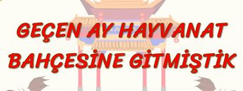 GEÇEN AY HAYVANAT BAHÇESİNE GİTMİŞTİK (ÇİNCE) 94. DERS