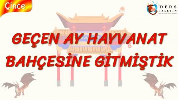GEÇEN AY HAYVANAT BAHÇESİNE GİTMİŞTİK (ÇİNCE) 94. DERS