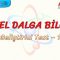 GENEL DALGA BİLGİSİ / GELİŞTİRİCİ TEST – 1