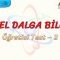 GENEL DALGA BİLGİSİ / ÖĞRETİCİ TEST – 2
