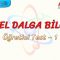GENEL DALGA BİLGİSİ / ÖĞRETİCİ TEST – 1