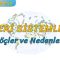 GÖÇLER VE NEDENLERİ (BEŞERİ SİSTEMLER – 6) – TYT