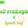 GÜÇLÜ ETKİLEŞİMLER – 1 / İYONİK BAĞ