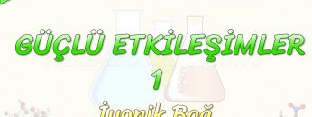 GÜÇLÜ ETKİLEŞİMLER – 1 / İYONİK BAĞ