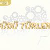 GÜDÜ TÜRLERİ