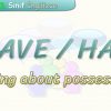 HAVE – HAS / TALKING ABOUT POSSESSIONS