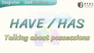 HAVE – HAS / TALKING ABOUT POSSESSIONS