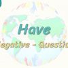Have / Negative – Question 49. Ders