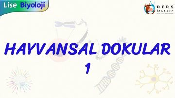 HAYVANSAL DOKULAR – 1