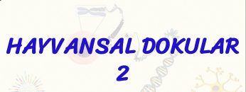 HAYVANSAL DOKULAR – 2