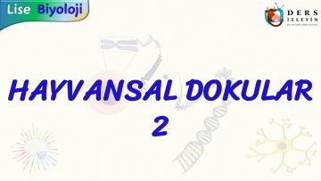 HAYVANSAL DOKULAR – 2