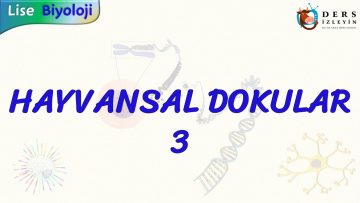HAYVANSAL DOKULAR – 3