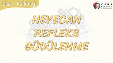 HEYECAN – REFLEKS – GÜDÜLENME