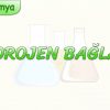 HİDROJEN BAĞLARI