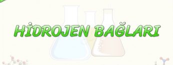 HİDROJEN BAĞLARI