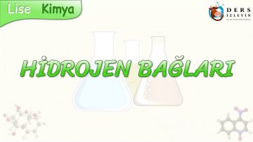 HİDROJEN BAĞLARI