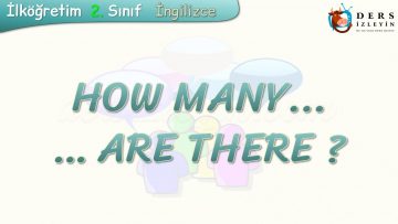 HOW MANY / ARE THERE