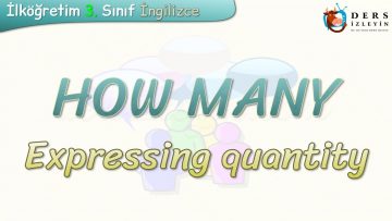 HOW MANY / EXPRESSING QUANTITY