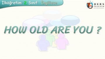HOW OLD ARE YOU