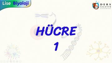 HÜCRE – 1