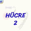 HÜCRE – 2