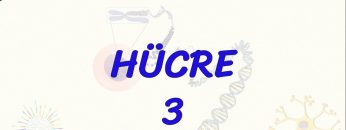 HÜCRE – 3