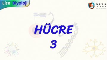 HÜCRE – 3