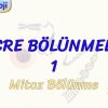 HÜCRE BÖLÜNMELERİ – 1 / MİTOZ BÖLÜNME