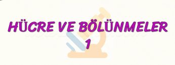 HÜCRE VE BÖLÜNMELER – 1